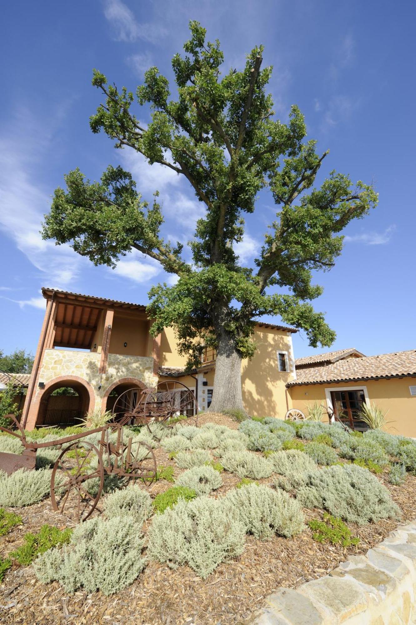 Borgo Magliano Garden Resort Magliano in Toscana Exterior foto